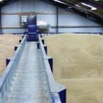 Опасное производство зерна